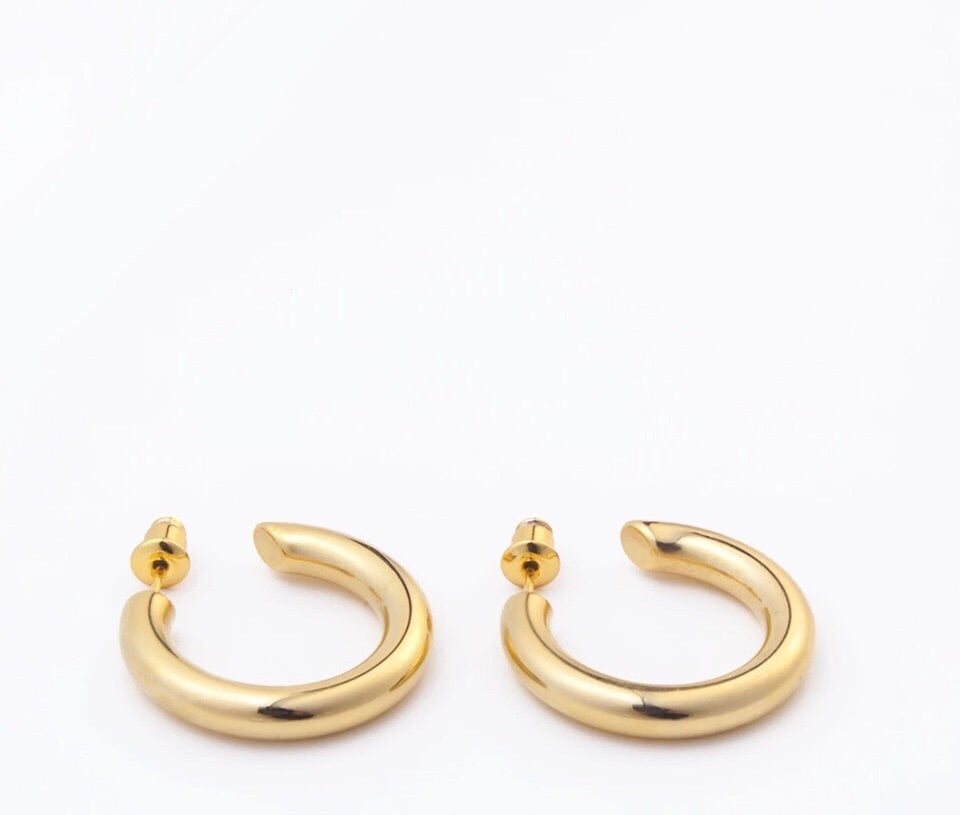 Small Gold Hoop Earrings delivery 4/14
